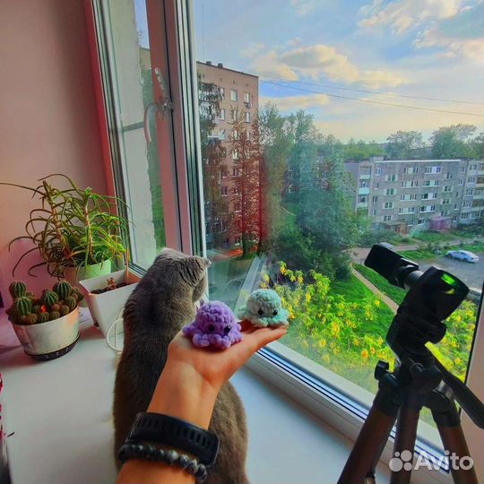 Осьминожки