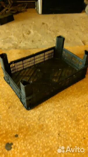 Ящики для ягод