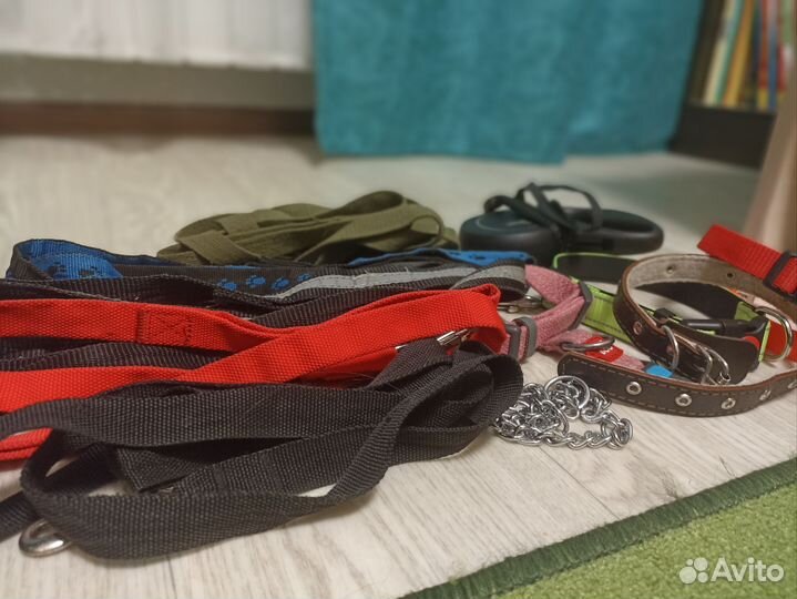 Амуниция для собак