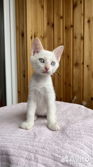 Мальчик с грустным лицом