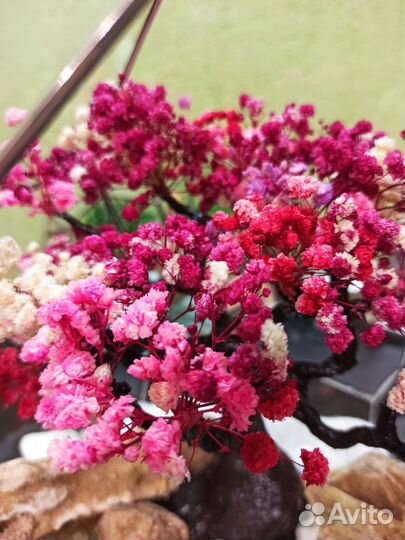 Флорариум, моссариум