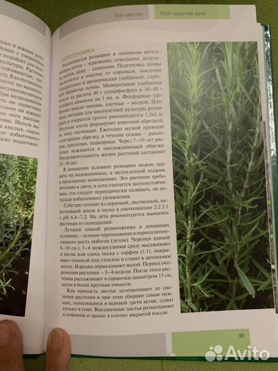 Пряности на даче учебник начинающего садовода