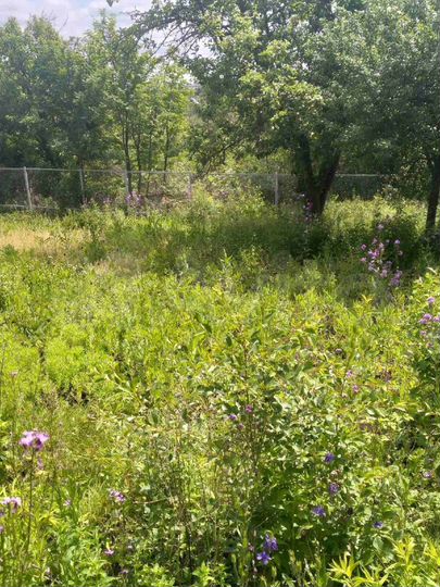 Дача 20 м² на участке 5 сот.