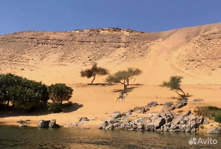 Тур путевка в Шарм-эш-Шейх на 7 нч. 5*, всё вкл