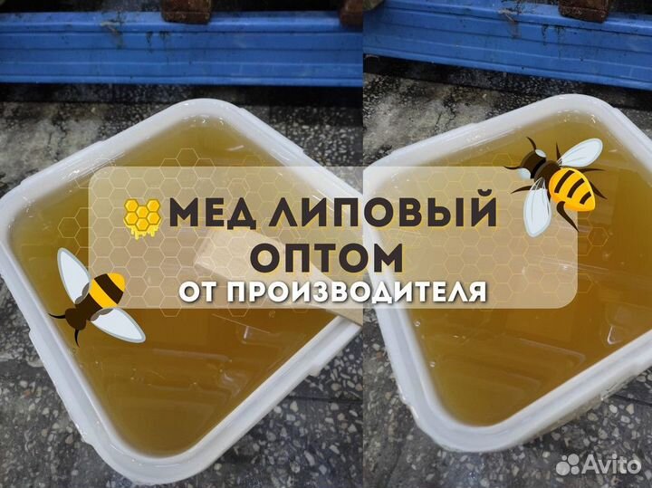 Свежий мёд липа Качка 2023 год Опт