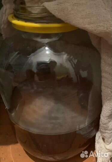 Индийский морской рис