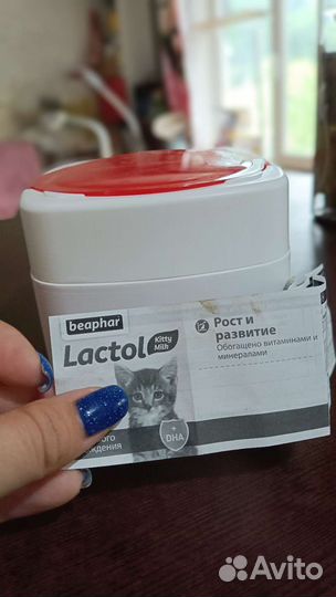 Молочная смесь для котят