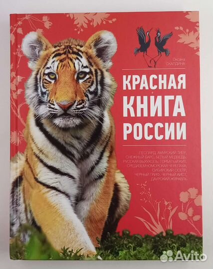 Красная книга России. Новая книга