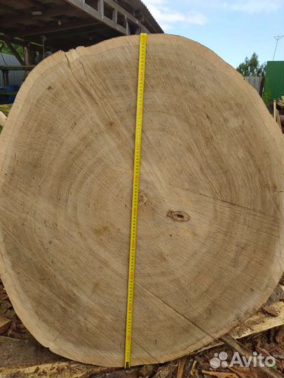 Дубовые спилы