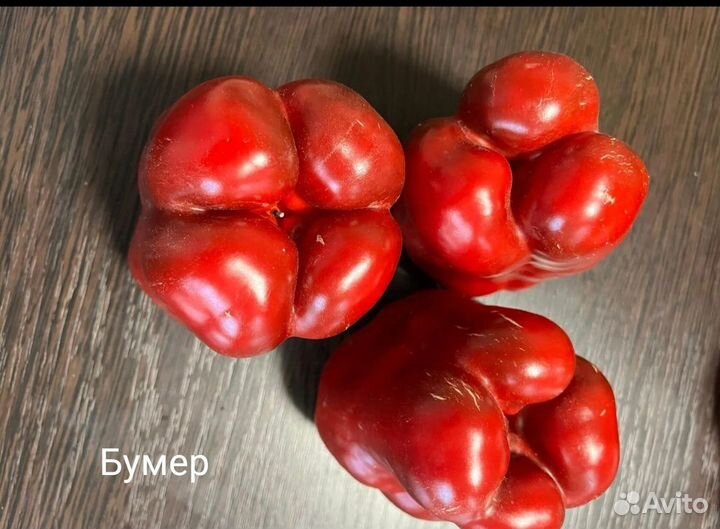 Семена урожайного перца