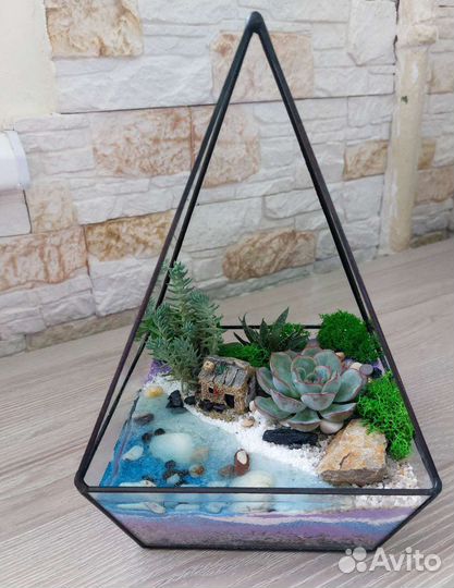 Флорариумы с суккулентами разные