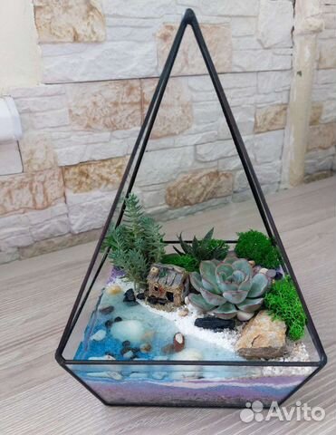 Флорариумы с суккулентами разные