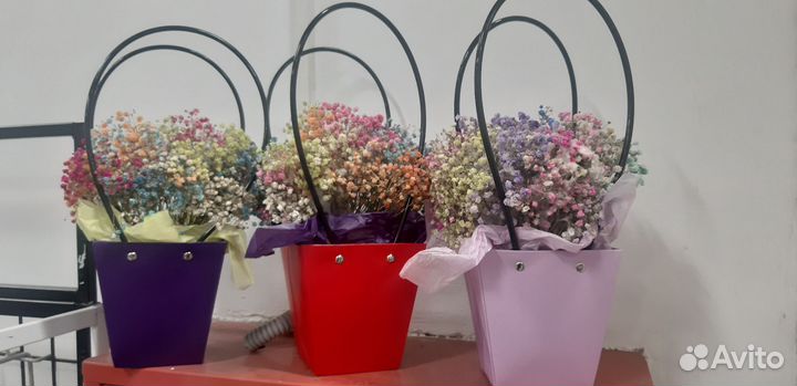 Гипсофила букет/корзинка