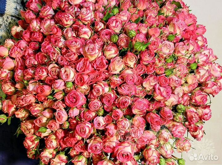 Кустовые розы с доставкой и гарантией