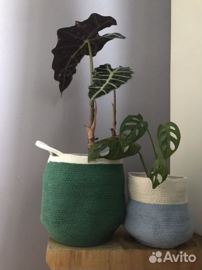 Хлопковые корзины