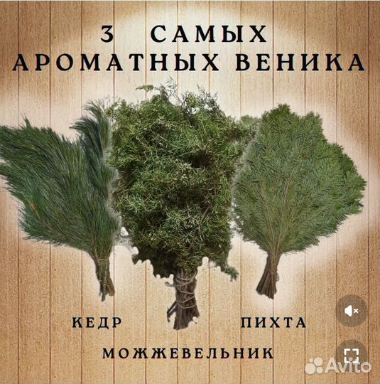 Веники для бани пихтовые