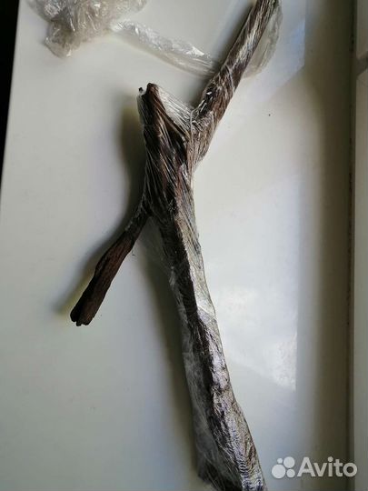 Аквариум. Анубиас. Коряга. Корабль