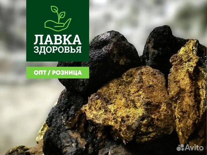 Чага сушеная опт. Любые объемы и виды