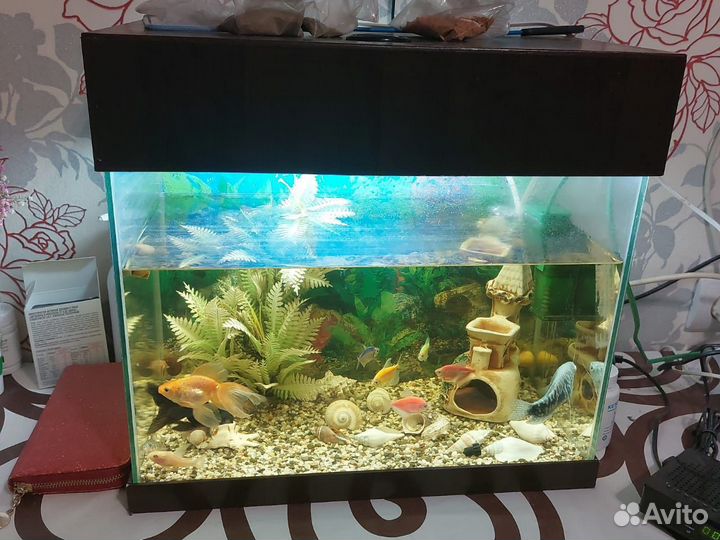 Аквариум