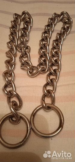 Строгий ошейник для собак