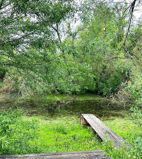 Дом 62,4 м² на участке 11,4 сот.