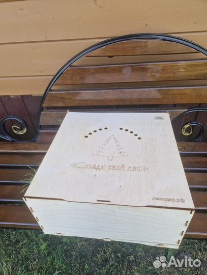 Саженцы ели зкс от производителя