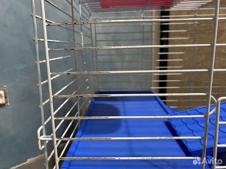 Клетка для грызунов бу