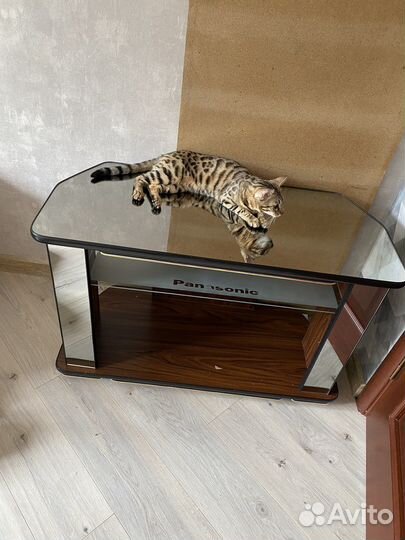 Подставка для телевизора