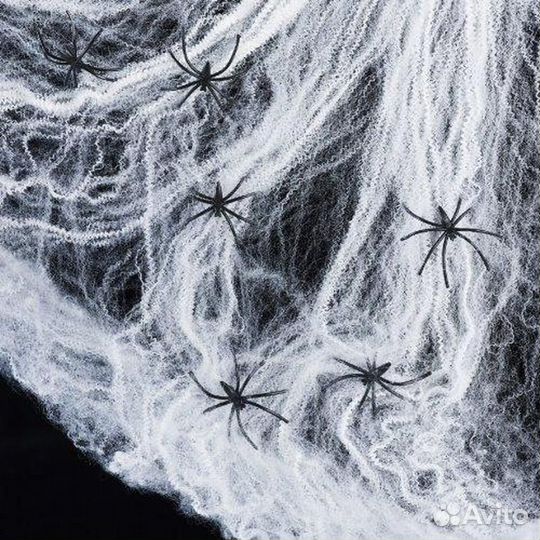 Паутина для Хэллоуина с пауками