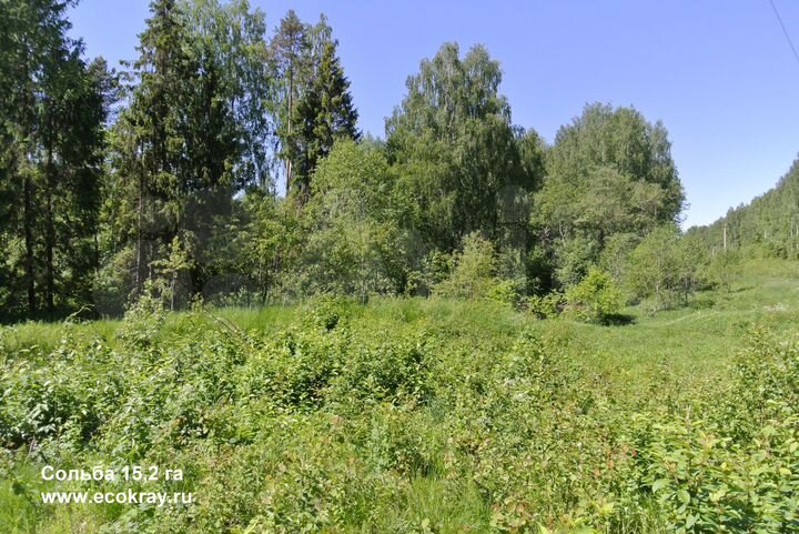 Участок 15,2 га (СНТ, ДНП)