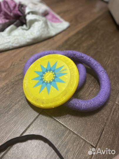 Ошейник и игрушки для собак крупных пород