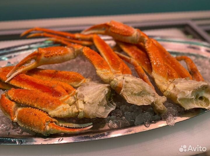Клешни краба стригуна. Доставка. Опт