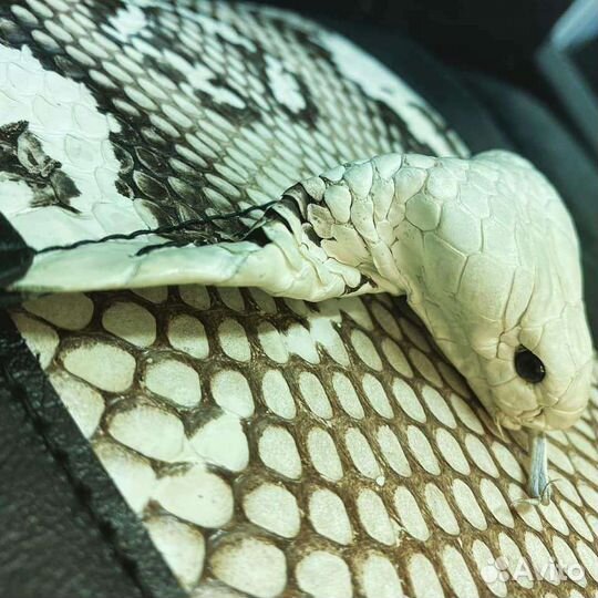 Изделия из кожи ручной работы на заказ