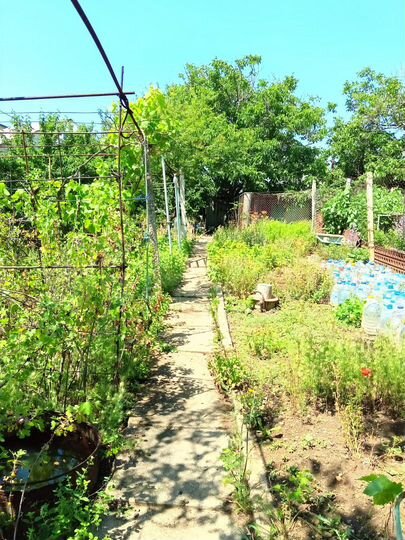 Участок 6 сот. (СНТ, ДНП)