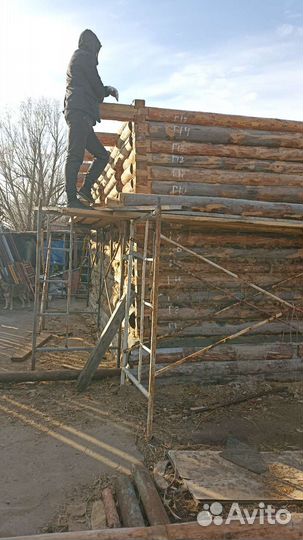 Грузчики