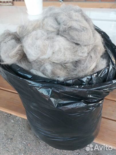Собачья шерсть продам