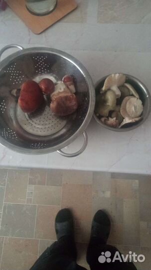 Саженцы Ягоды Ирга '' Звёздная ночь'' Рябина