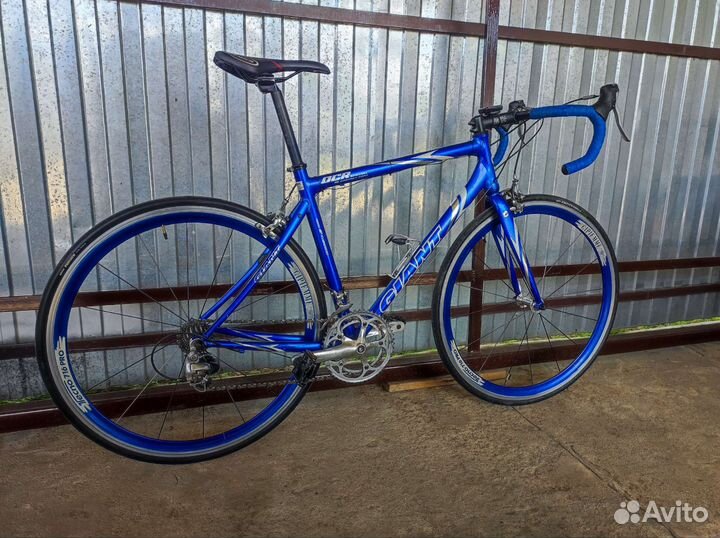 Giant OSR Special 28