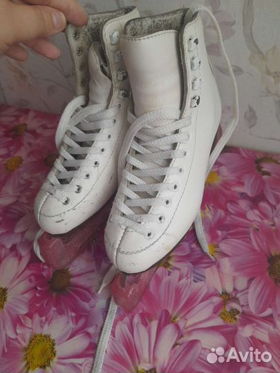 Коньки фигурные wifa