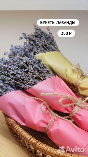 Лаванда сухоцвет