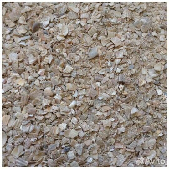 Ракушка кормовая