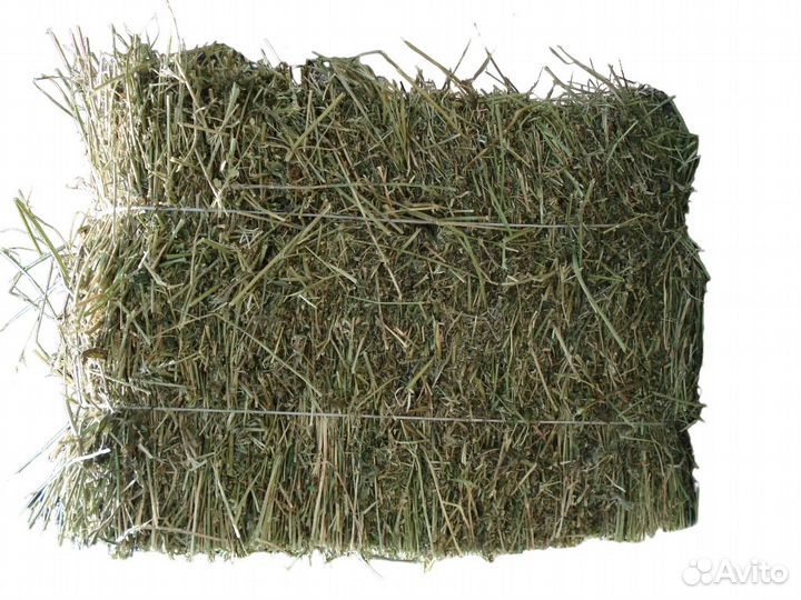 Сено в брикетах