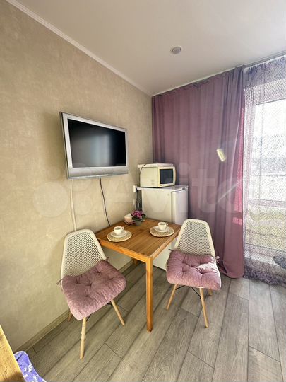 1-к. квартира, 24 м², 9/10 эт.