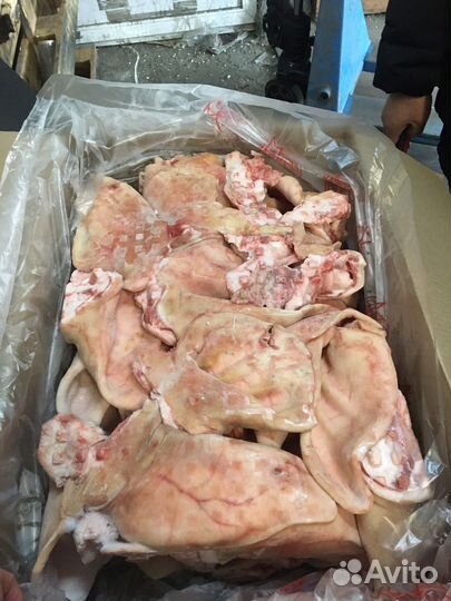 Свинина разделка и субпродукты