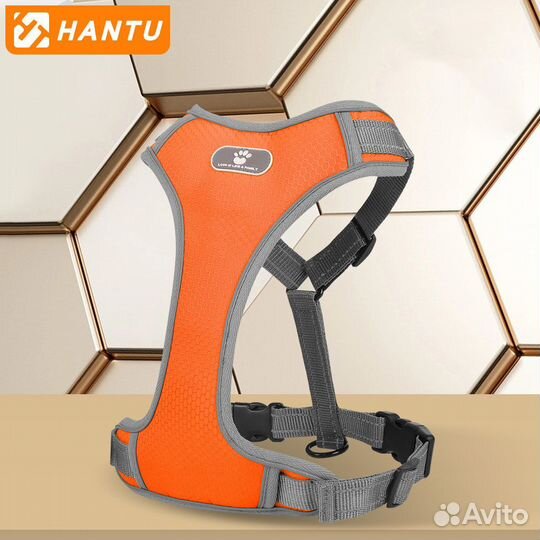 Шлейка для собаки