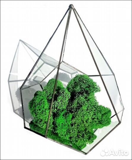 Флорариум из стекла Капля