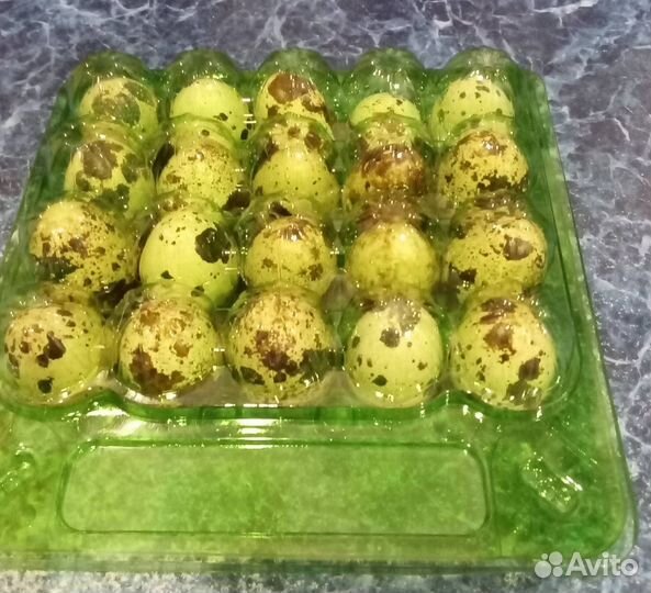 Яйца перепелиные