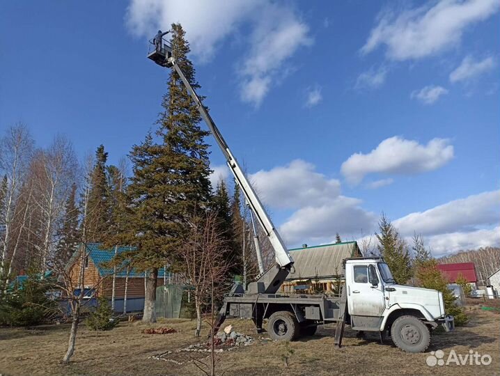 Уборка деревьев