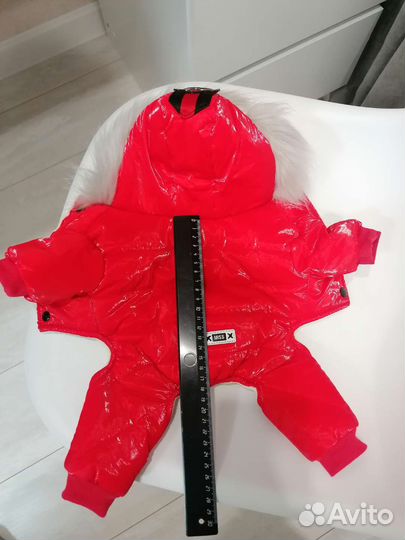 Одежда для маленьких пород собак