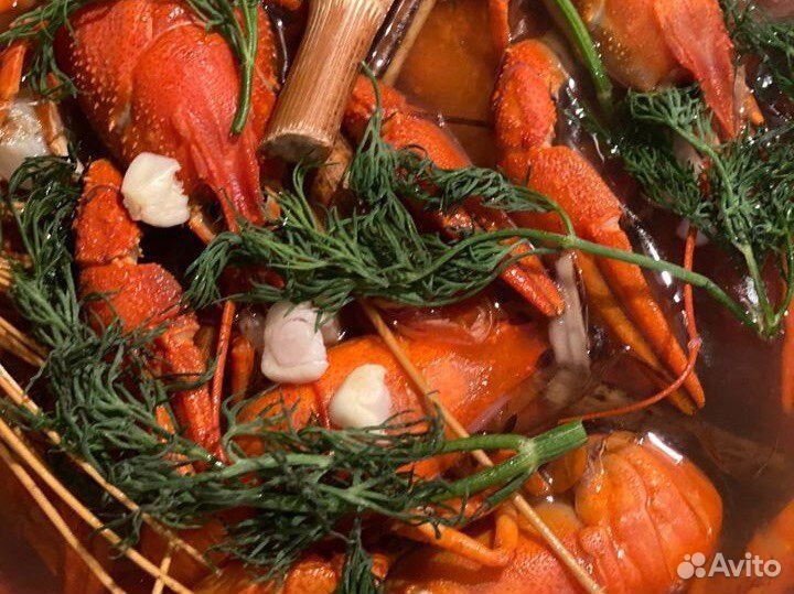 Живые и вареные раки